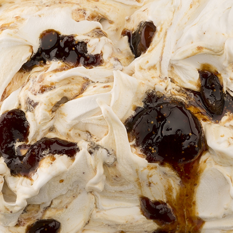 RICOTTA (IN POLVERE)