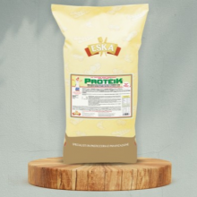 PROTEIK